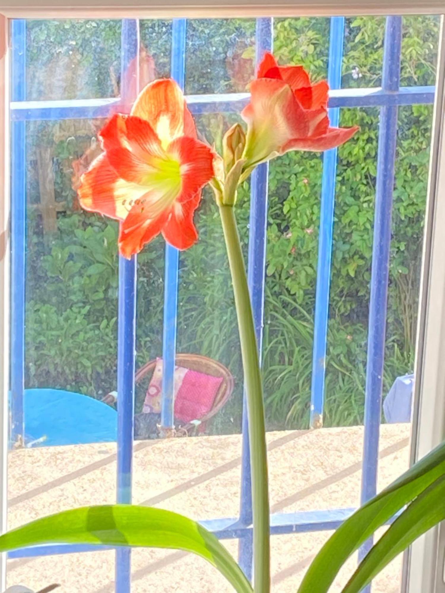 Haut De Jardin Dans Une Maison Dijon Exterior foto